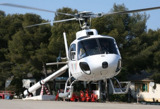  Su compañero de vuelo 